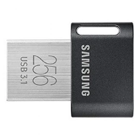 Samsung FIT Plus MUF-256AB/APC 256 GB Gris, Plata